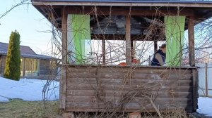 Зеркала на даче. Заботливая кошка и запасливая мышка. 23 марта- 9 апреля 2026.