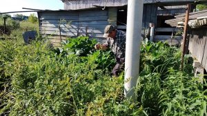 МУЖИК ЗАПУТАЛСЯ  ОКОНЧАТЕЛЬНО И НЕ ЗНАЕТ ,ЧТО ДЕЛАТЬ..Деревня.