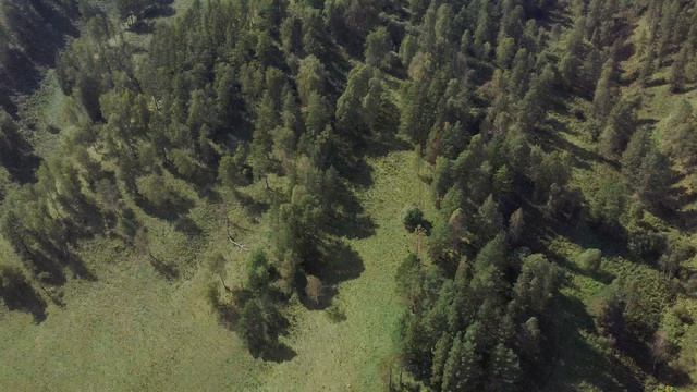 VID_20260819_151643_0006.MP4