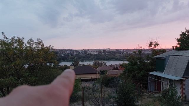 Приготовили балтийскую селедку и сердечки куриные в соевом соусе