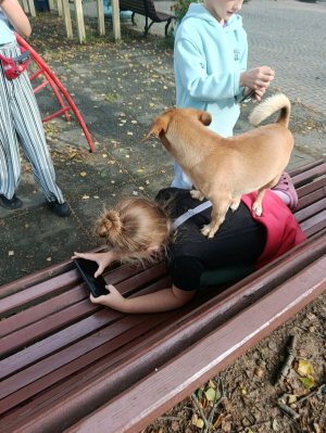 нах