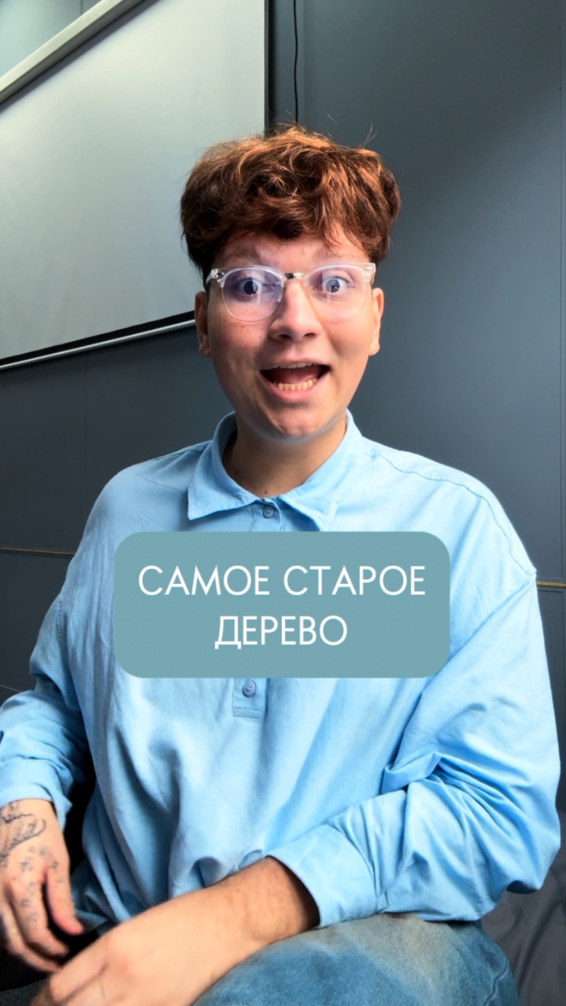 САМОЕ СТАРОЕ ДЕРЕВО