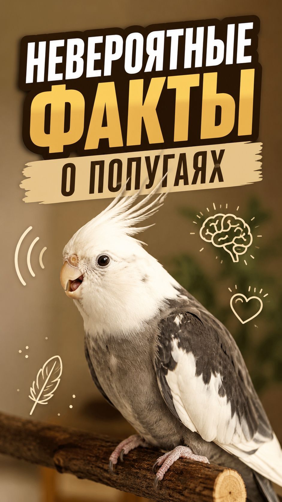 Факты о попугаях, в которые сложно поверить