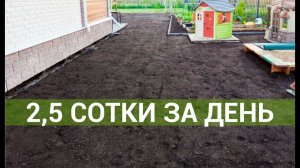 Посевной газон за один день на участке площадью 2,5 сотки
