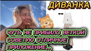 САМВЕЛ АДАМЯН, МИСС ВОНГ, ЧУТЬ НЕ ПРИБИЛО ВЕТКОЙ, НЕ ПОЙМУ «НИЗКИХ» ЦЕН И СОВЕТУЮ ПРИЛОЖЕНИЕ..