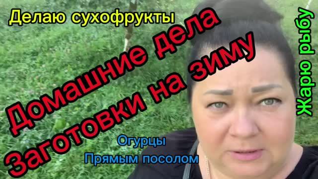 Домашние дела! Заготовки на зиму!