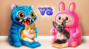 Богатая vs бедная кошка! Строим секретные домики для животных!