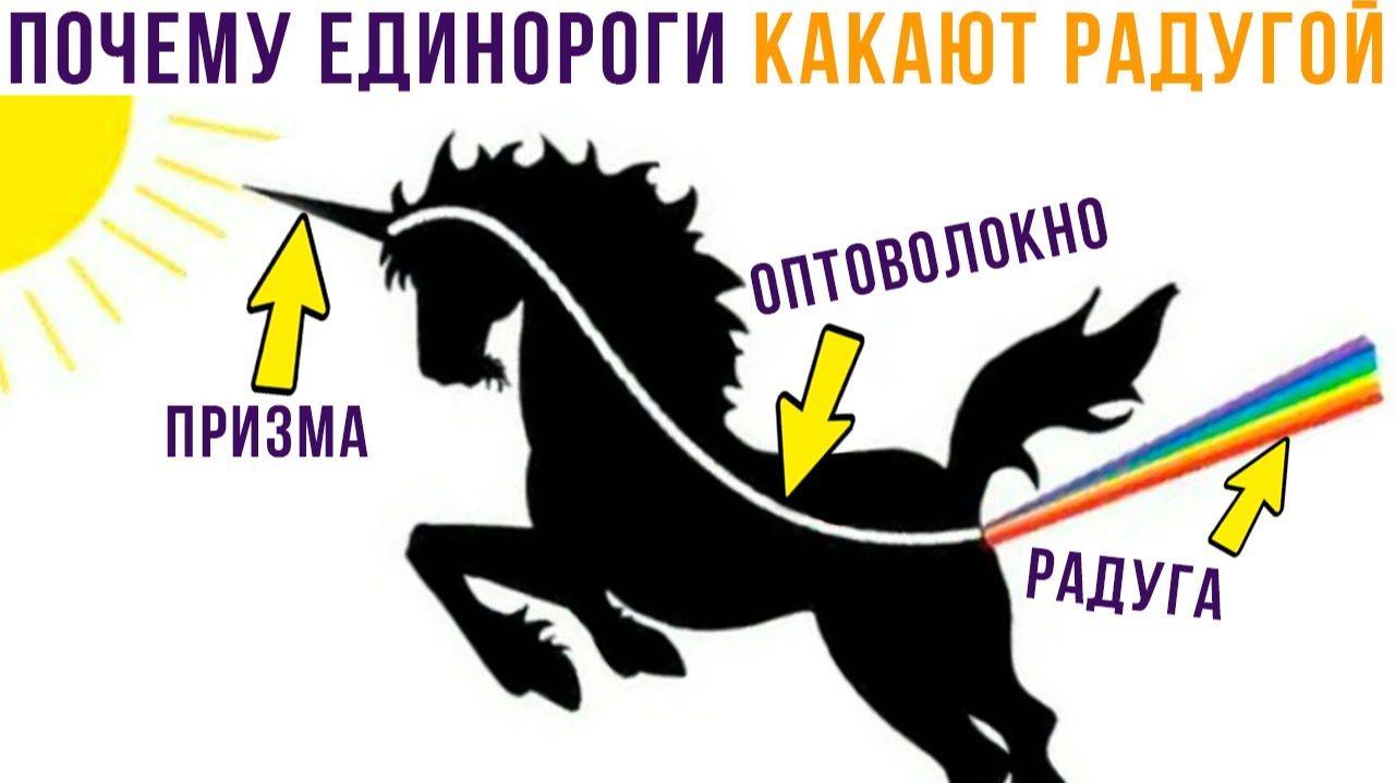 ПОЧЕМУ ЕДИНОРОГИ 💩 РАДУГОЙ))) Приколы