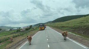 Поехал в скоростной Рейс по троллейбусному маршруту!!!