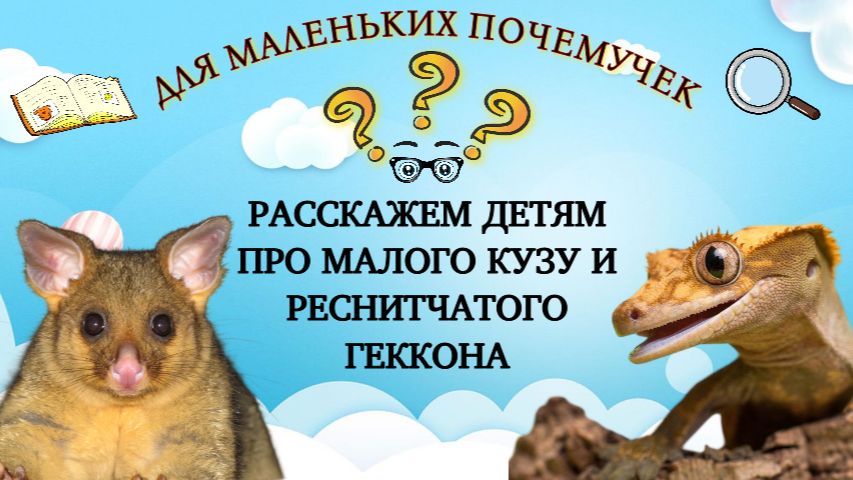 Маленький Кузя и Удивительный Геккон: Путешествие в джунгли!