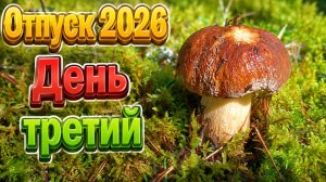 Отпуск 2026. День третий.