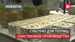 В Хабаровске начали выпускать субстрат из каменной ваты для теплиц.21/08/2026