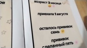 дашуся пдб гав😏🩷
