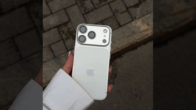 17 Pro Silver