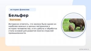 Фамилия Бельфер: происхождение, значение и склонение