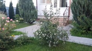 Благодарим детей и внуков за прекрасный подарок.