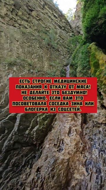 А как вы относитесь к здоровому образу жизни?