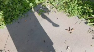 загадка-,,его не ждёшь, а он приходит?,, ..... правильный ответ ЗА Ё П В ГОЛОВУ!!! но вы угадали