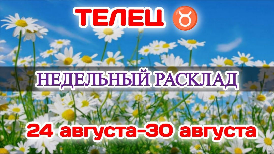 ТЕЛЕЦ ♉ Недельный расклад 24-30 АВГУСТА/Таро Прогноз/Сферы жизни