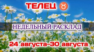 ТЕЛЕЦ ♉ Недельный расклад 24-30 АВГУСТА/Таро Прогноз/Сферы жизни