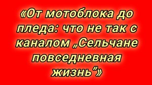 21-08-2026«От мотоблока до пледа: что не так с каналом „Сельчане повседневная жизнь“»