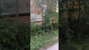 привет