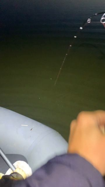РЫБАЛКА НА БЛИЖАЙШЕМ ВОДОЕМЕ 🎣 #panoptix #panoptixlivescope #спиннинг #fishing #щука #рыбалка
