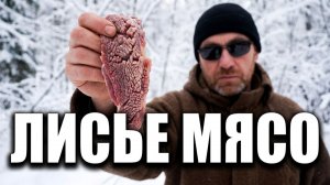 МЯСО ЛИСЫ: Можно ли это есть? Готовлю дичь в зимнем лесу.