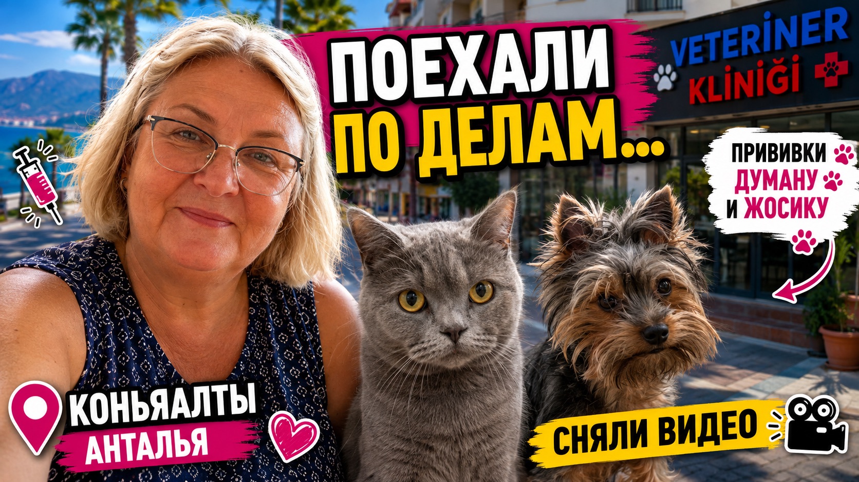 Поехали по делам в Коньяалты 🐾 Прививки Думану и Жосику, магазины вкусняшек и обуви
