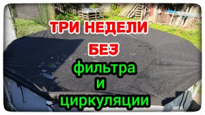 Мой эксперимент с бассейном провалился! Что будет через три недели без циркуляции воды и фильтра?