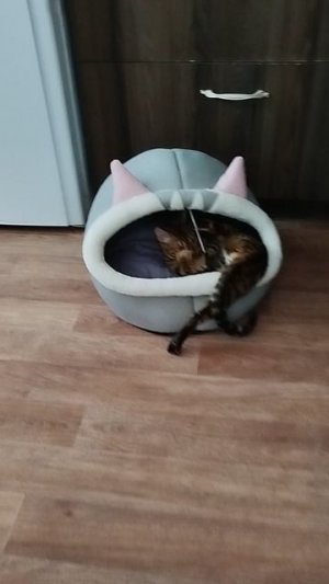 Мия играет