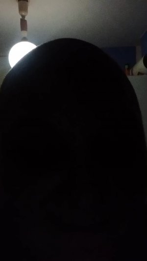 л