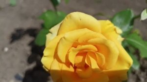 и всех я вас благодарю! съездила за богатством.