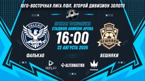 Юго-Восточная лига ЛФЛ. Второй дивизион Золото. 8-й тур. «Фалькао» vs «Вешняки»
