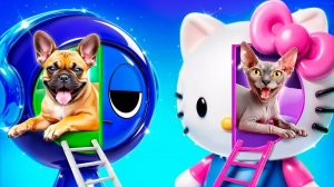 Богатая кошка vs бедная собака! Строим секретные домики для животных!
