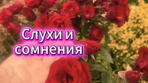История его служанки 11 -13 серия ｜ Премьера 2026 на Иви ｜ Историческа мелодрама ⧸ Обзор