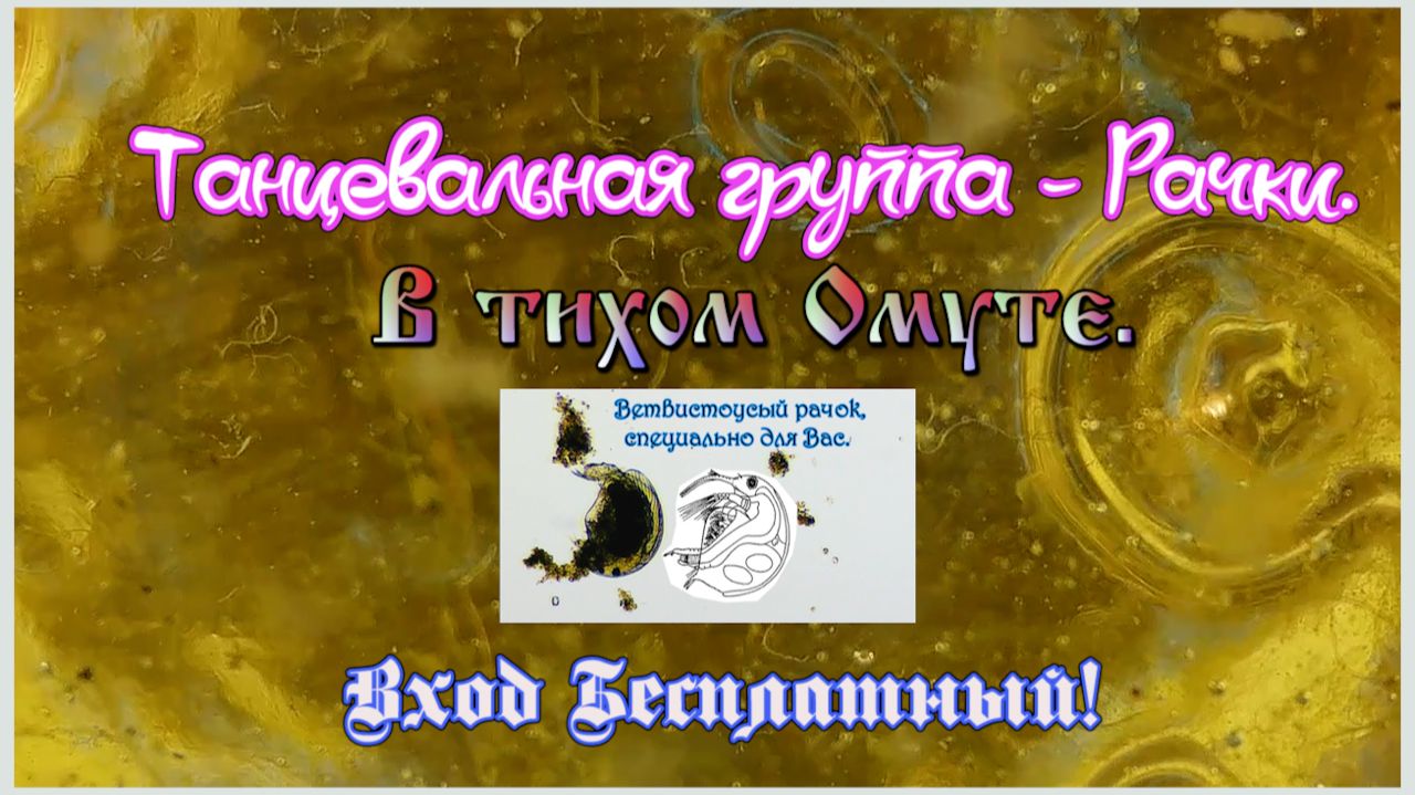 Танцевальная группа - Рачки. В тихом Омуте.