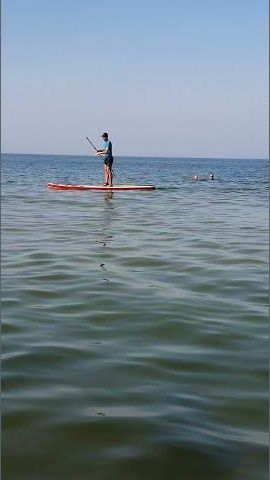 Добрый день! Море Привет!