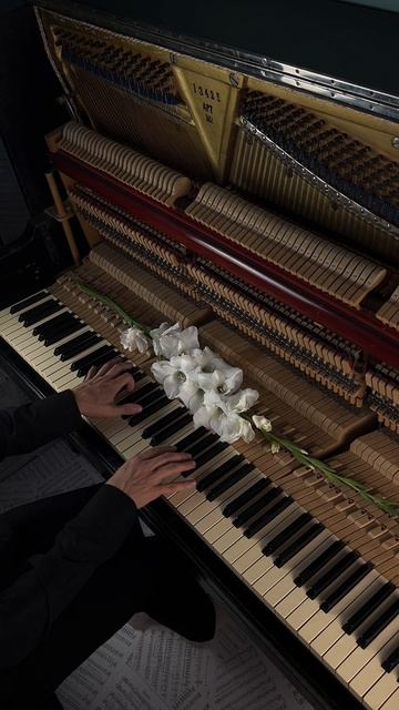 On The Nature Of Daylight – Max Richter на пианино