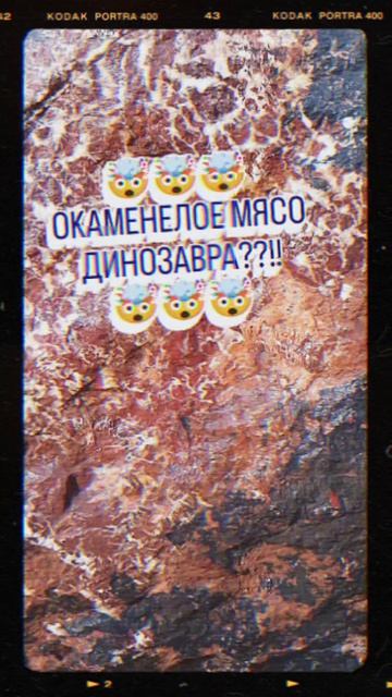 окаменелое мясо Динозавра??!🤯🤯🤯😉