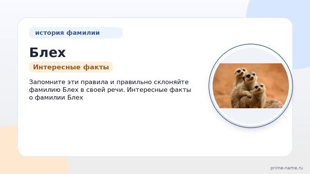Фамилия Блех: происхождение, значение и склонение
