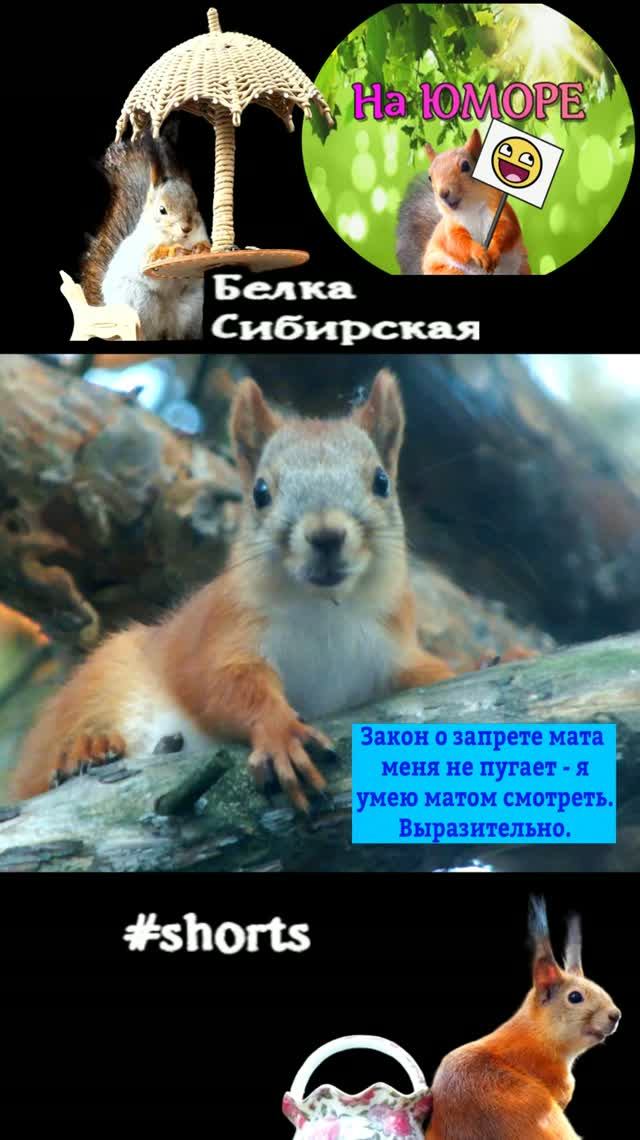 Когда уже надоели комары