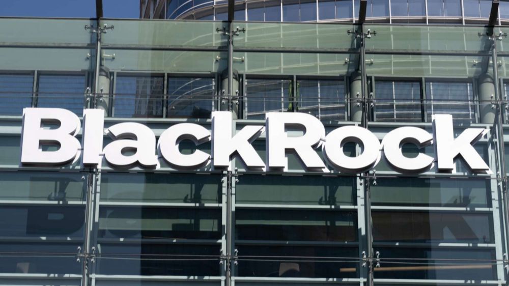 По следам неизвестной мировой власти: BlackRock&Co разоблачены (интервью с д-ром Вернером Рюгемером)