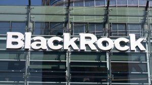 По следам неизвестной мировой власти: BlackRock&Co разоблачены (интервью с д-ром Вернером Рюгемером)