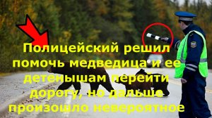 Полицейский решил помочь медведица и ее детенышам перейти дорогу, но дальше произошло невероятное