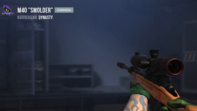 1000000993.mp4