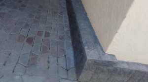 я в это видео показал ну не всех своих животных я покажу все когда я их найду потому что они уличные