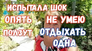 337🌹Испытала шок/Опять ползут/Не умею отдыхать одна