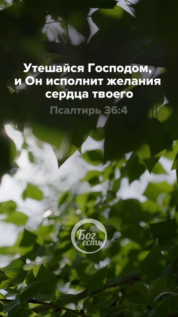 Псалтирь 36:4