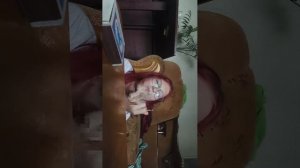 Анитка